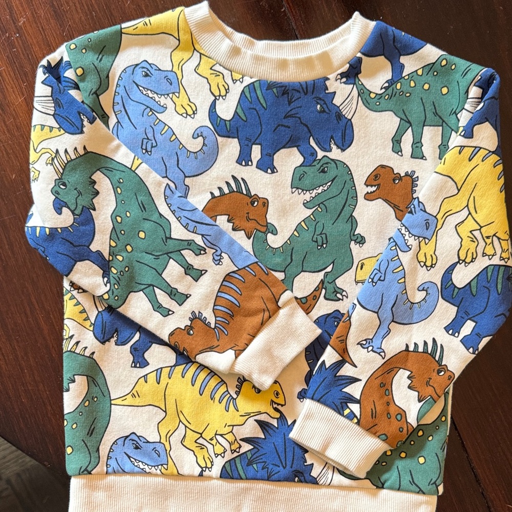 Dinosaur Print Kids Sweatshirt & Pants